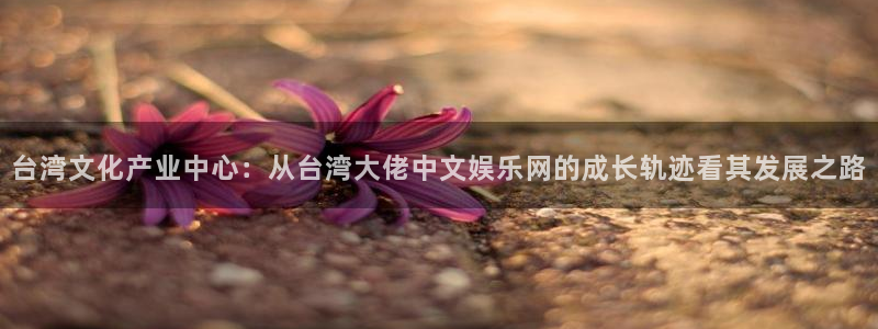 星亿娱乐登录：台湾文化产业中心：从台湾大佬中文娱乐网的成长轨迹看其发展之路