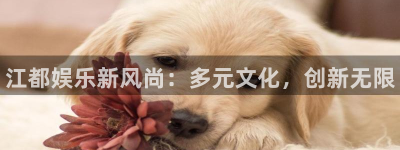 星亿娱乐登陆：江都娱乐新风尚：多元文化，创新无限