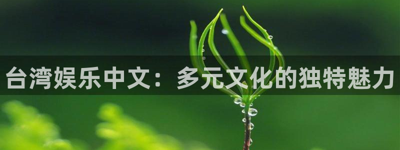 星亿娱乐