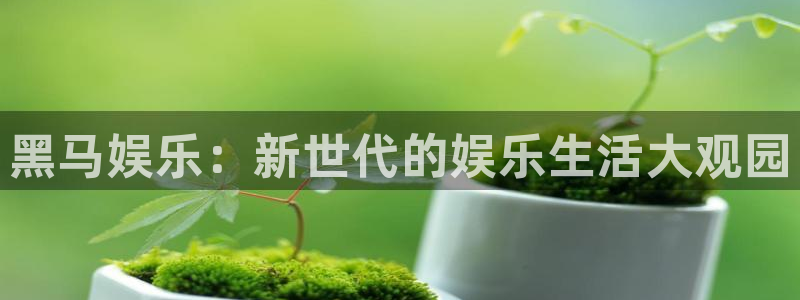 星亿娱乐平台