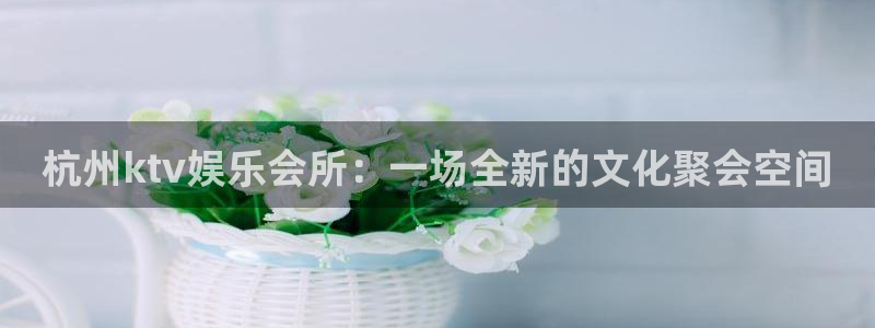 星亿娱乐主管：杭州ktv娱乐会所：一场全新的文化聚会空间