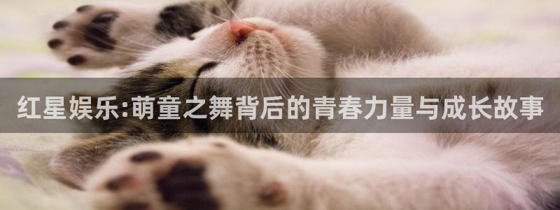 星亿娱乐注册：红星娱乐:萌童之舞背后的青春力量与成长故事
