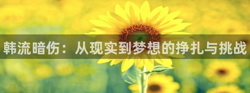 星亿娱乐官网登录入口：韩流暗伤：从现实到梦想的挣扎与挑战