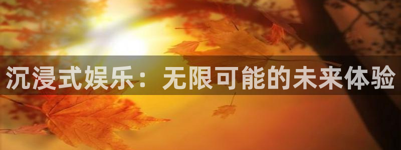 星亿娱乐平台：沉浸式娱乐：无限可能的未来体验