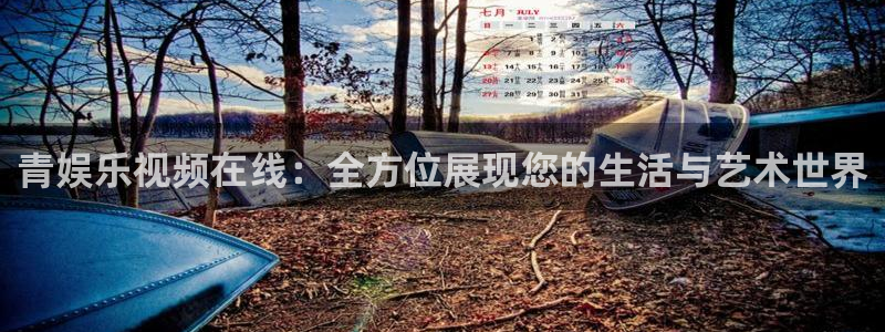 星亿娱乐官网进入：青娱乐视频在线：全方位展现您的生活与艺术世界