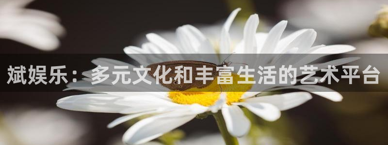 星亿娱乐登录：斌娱乐：多元文化和丰富生活的艺术平台