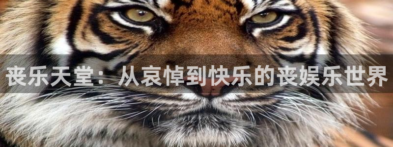 星亿娱乐登陆：丧乐天堂：从哀悼到快乐的丧娱乐世界